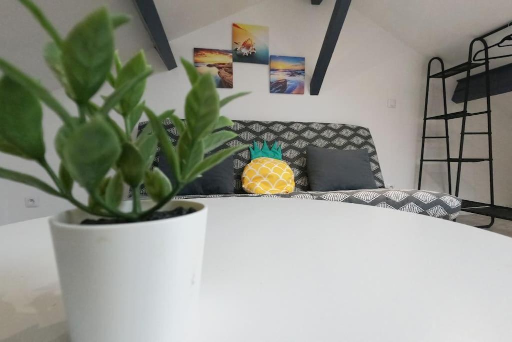 Appartement Atypique T1 Duplex - Wifi .parking .proche .gare